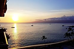 The Whaler 11th Floor