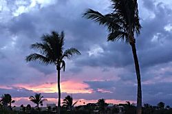 #G101 at The Ka'anapali Royal