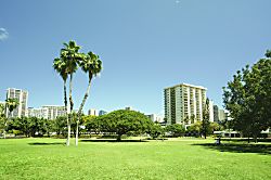 Luana Waikiki (LW14)