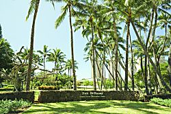 Luana Waikiki (LW14)