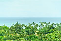 Luana Waikiki (LW14)