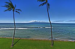Papakea Resort Kaanapali F302 - Beach