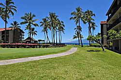 Papakea Resort Kaanapali F302 - Property grounds