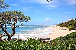 Kaha Lani 216, Castle Resorts