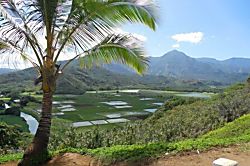 Kaha Lani 216, Castle Resorts