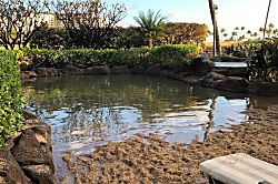 Ko Olina Beach Club Condo