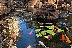 Ko Olina Beach Villas Condo