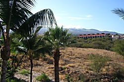 Maui Banyan 3rd Floor