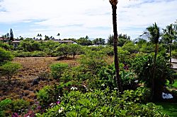 Maui Banyan 3rd Floor