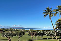 Ekolu #305 - The Diamond Suite