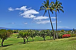 Ekolu #305 - The Diamond Suite