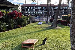 Papakea Resort  Condo with Molokai Views
