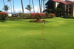 Papakea Resort  Condo with Molokai Views