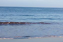 Kihei Garden Views Condo 