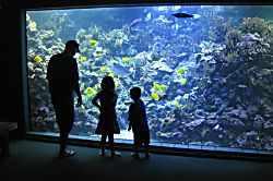 Ma'alaea Banyans Oceanfront Condo 