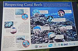 Ma'alaea Banyans Oceanfront Condo 