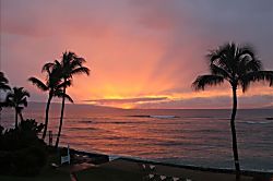 Unit 205, Hoyochi Nikko