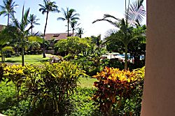 Kaanapali Royal J102