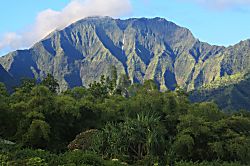 Hanalei Bay Villas #35