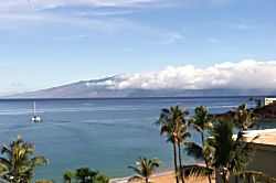 The Whaler Studio #814