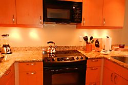 The Whaler Studio #814