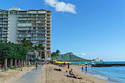 Waikiki Shore (WShore208)