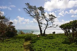 Kahuku Beachfront Home