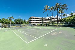 White Sands Village 211