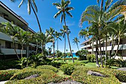 White Sands Village 211