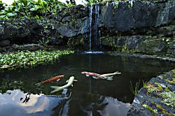 Hana Kai Maui #205