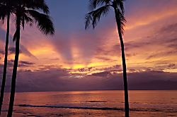 Papakea Resort Condo L204