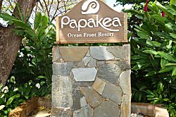 Papakea Resort Condo L204