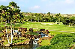 Gecko'z South Sea Bungalows