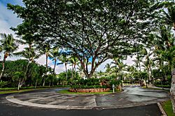 Gecko'z South Sea Bungalows