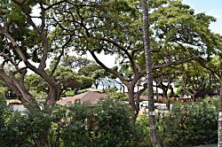 Maui Vista 1 bedroom