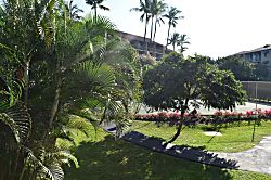 Maui Vista 1 bedroom