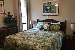 Maui Vista 1 bedroom