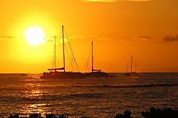 Honua Kai Konea 648