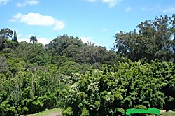 Haiku-Pauwela vacation rental