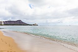 Waikiki Shore #215