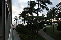 Waikiki Shore #215