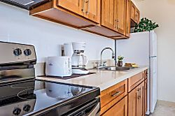 Waikiki Banyan (3411-1)