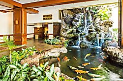 Waikiki Banyan (3411-1)