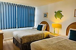 Waikiki Banyan (3411-1)