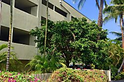 Banyan Tree Penthouse #402