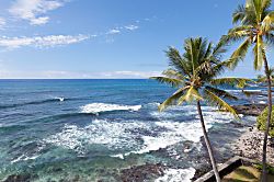 Banyan Tree Penthouse #402