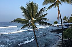 Banyan Tree Penthouse #402