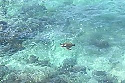 Banyan Tree Penthouse #402