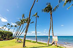 Kealia Resort 607 - Beach