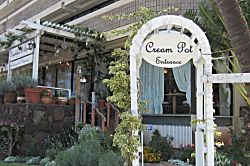 Hawaiian Monarch Studio